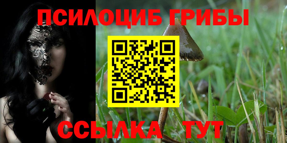 Ачхой-Мартан  Галлюциногенные грибы Psilocybine cubensis  Вход с VPN  Псилоцибиновые грибы GOLDEN TEACHER 