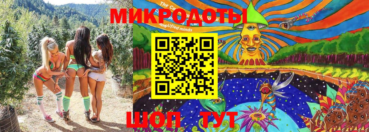 Псилоцибиновые грибы Psilocybe Ачхой-Мартан